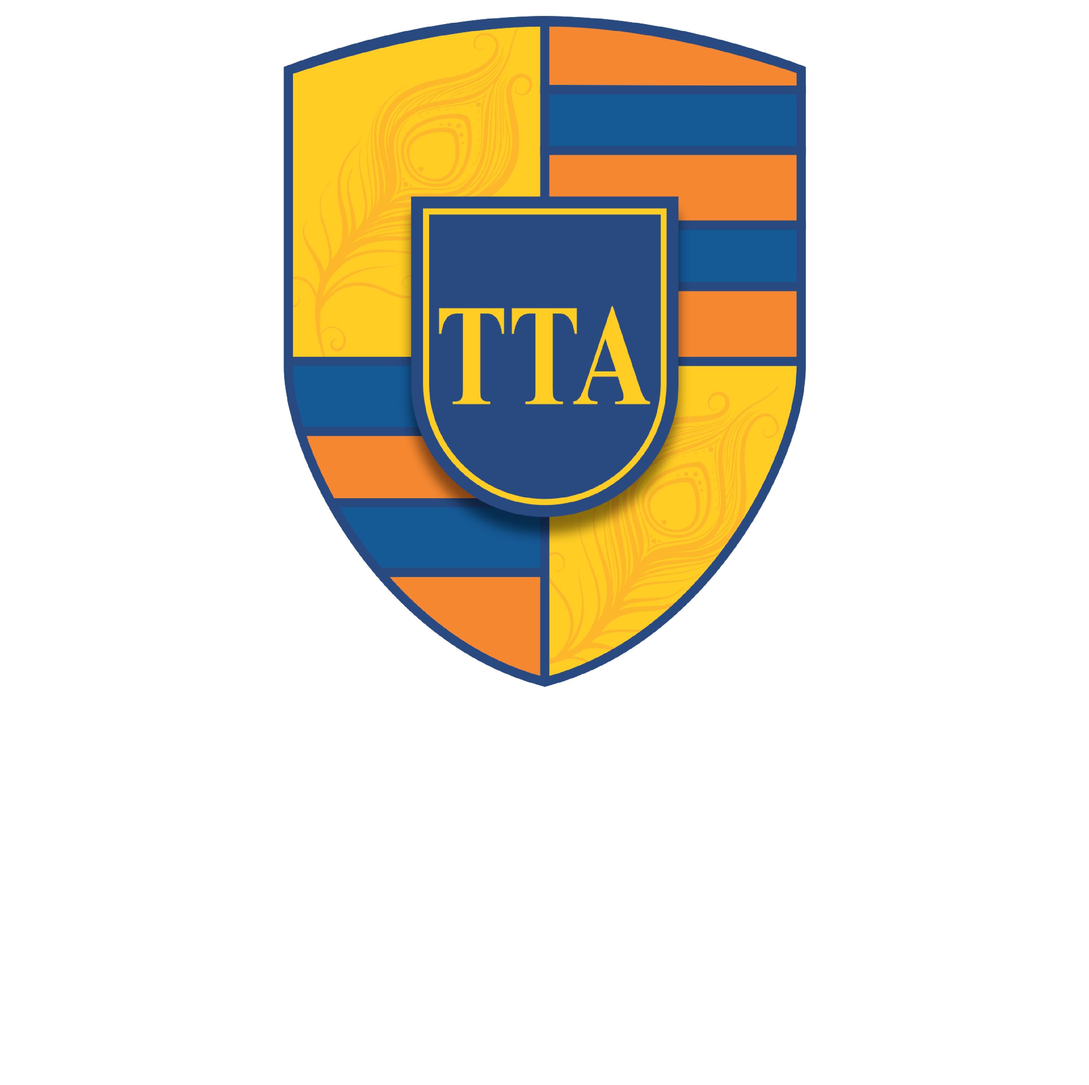Times & Trends Academy